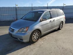 Honda Vehiculos salvage en venta: 2010 Honda Odyssey EXL