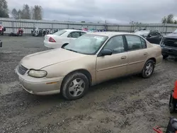 Chevrolet salvage cars for sale: 2003 Chevrolet Malibu