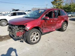 2013 Ford Edge SEL en venta en Lexington, KY