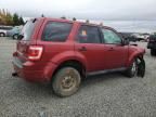 2012 Ford Escape XLS