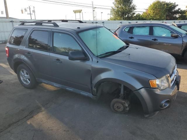 2011 Ford Escape XLT