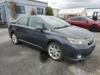 2010 Lexus HS 250H