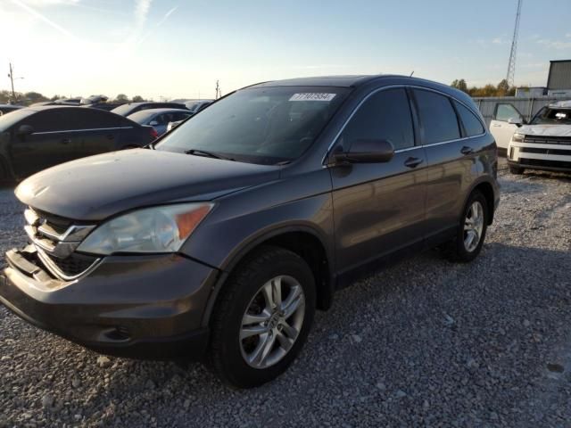 2010 Honda CR-V EXL