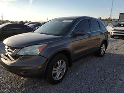 Run And Drives Cars for sale at auction: 2010 Honda CR-V EXL