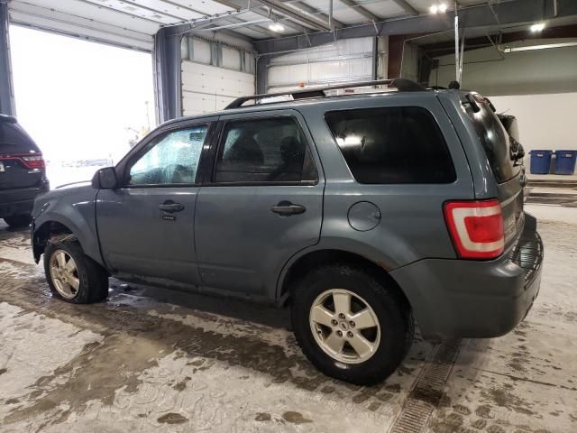 2011 Ford Escape XLT