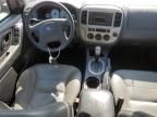 2007 Ford Escape XLT