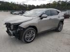 2023 Lexus NX 350H