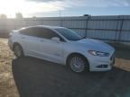 2014 Ford Fusion SE Hybrid