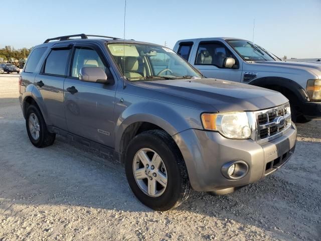 2008 Ford Escape HEV