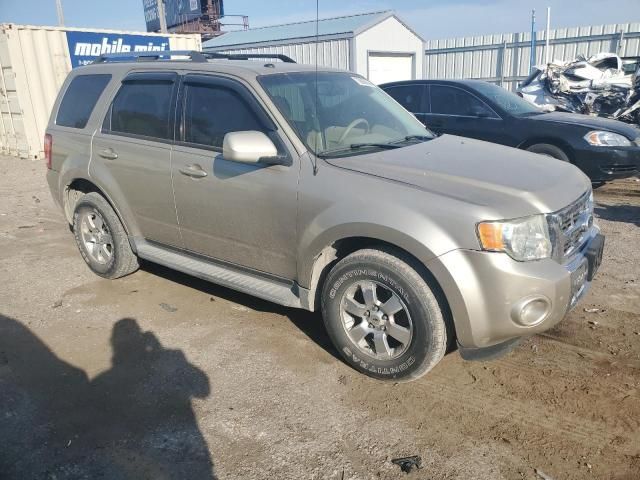 2010 Ford Escape Limited