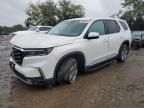 2023 Honda Pilot EXL