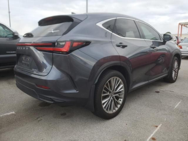 2022 Lexus NX 350