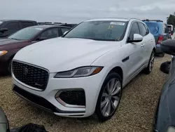 Salvage cars for sale at Arcadia, FL auction: 2023 Jaguar F-PACE R-DYNAMIC S