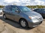 2007 Honda Odyssey EXL