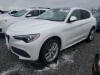 2020 Alfa Romeo Stelvio TI