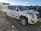 2016 Cadillac Escalade ESV Platinum