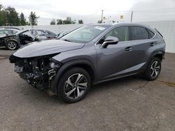 Salvage cars for sale from Copart Portland, OR: 2019 Lexus NX 300 Base