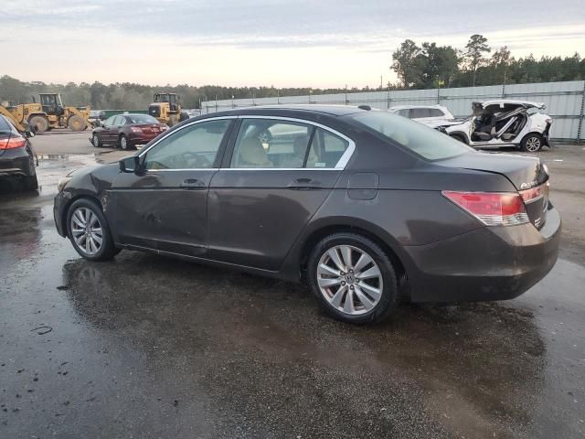 2011 Honda Accord EXL