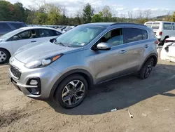 Salvage cars for sale at Marlboro, NY auction: 2021 KIA Sportage EX