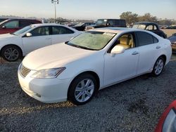 Lexus Vehiculos salvage en venta: 2007 Lexus ES 350