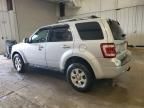 2010 Ford Escape Limited