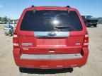 2010 Ford Escape Limited