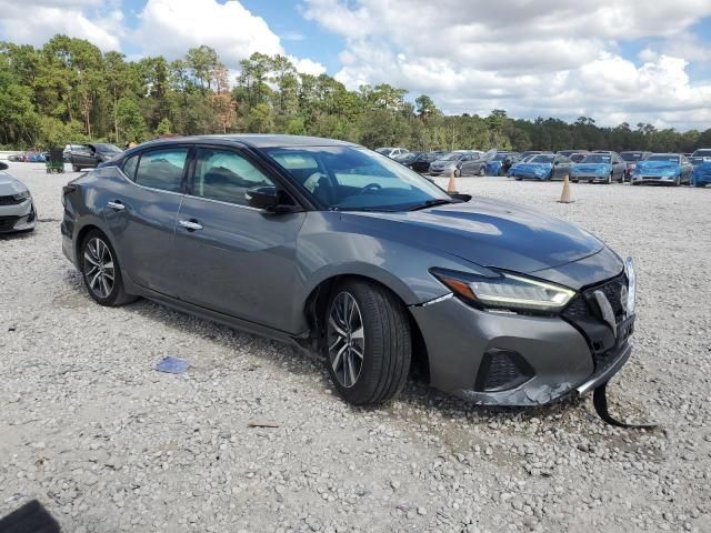 2020 Nissan Maxima SV