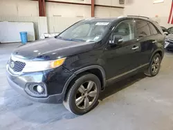 Salvage cars for sale at Lufkin, TX auction: 2013 KIA Sorento EX