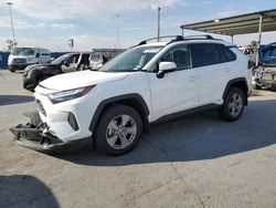 2023 Toyota Rav4 XLE en venta en Anthony, TX