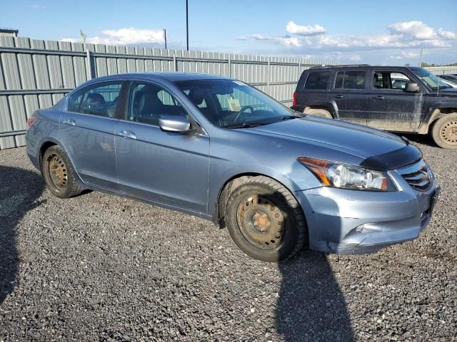 2011 Honda Accord EXL