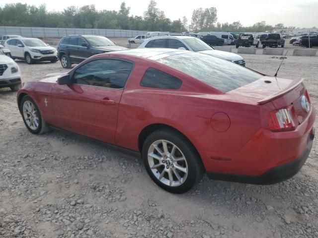 2010 Ford Mustang