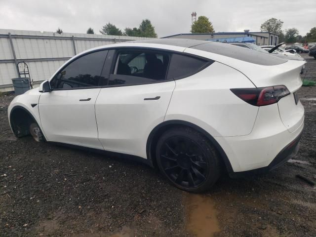 2020 Tesla Model Y