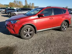 Toyota salvage cars for sale: 2017 Toyota Rav4 XLE