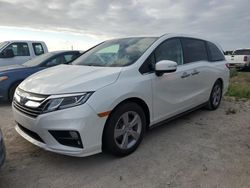 2020 Honda Odyssey EXL en venta en Arcadia, FL