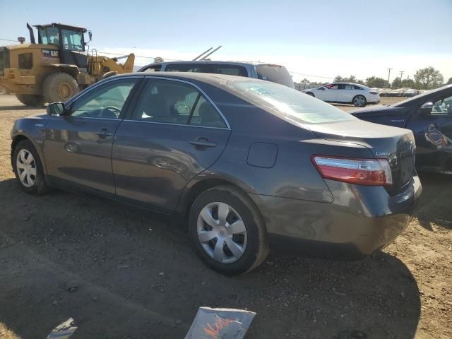 2009 Toyota Camry Hybrid