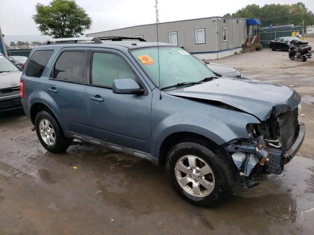 2010 Ford Escape Limited