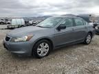 2009 Honda Accord LXP