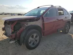 Salvage cars for sale from Copart San Antonio, TX: 2024 Toyota Rav4 XLE