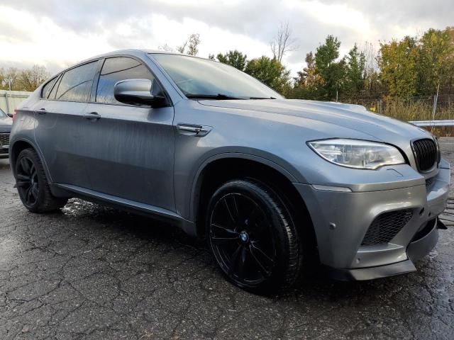 2014 BMW X6 M