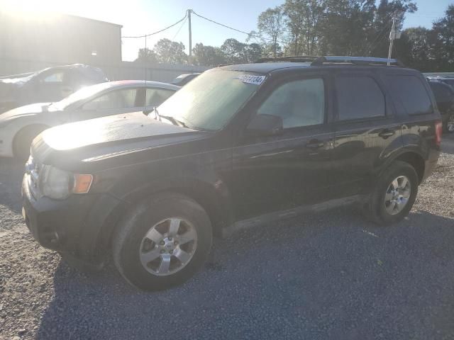 2011 Ford Escape Limited