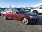 2010 Honda Accord EX