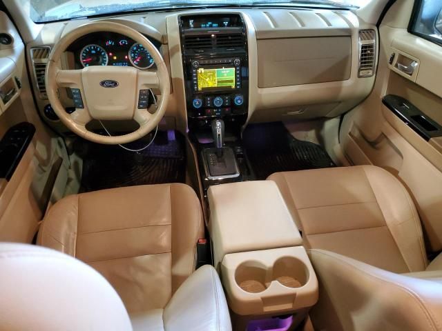 2010 Ford Escape Limited