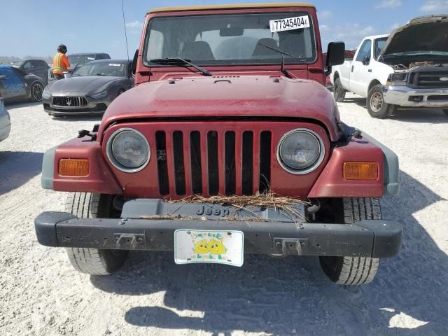 1998 Jeep Wrangler / TJ Sport