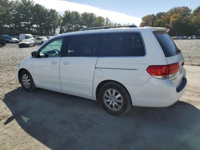 2010 Honda Odyssey EXL