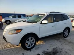 Salvage cars for sale at Arcadia, FL auction: 2007 Hyundai Santa FE SE