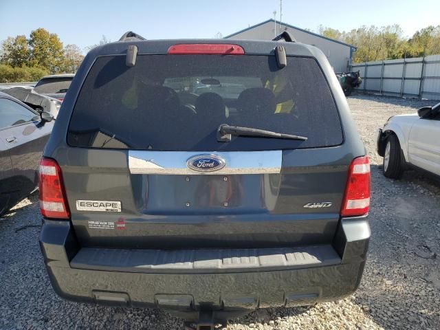 2008 Ford Escape Limited