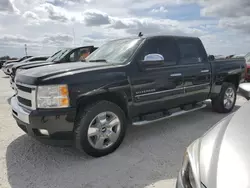 2011 Chevrolet Silverado C1500 LT en venta en Arcadia, FL