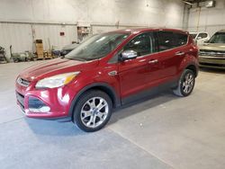 Salvage cars for sale at Milwaukee, WI auction: 2013 Ford Escape SEL