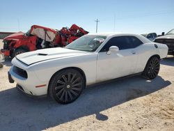 Salvage cars for sale at Andrews, TX auction: 2019 Dodge Challenger SXT