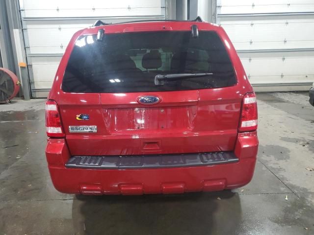 2010 Ford Escape XLT